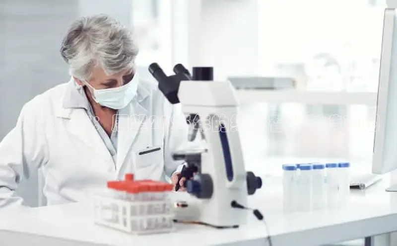 BETVlCTOR手机登录