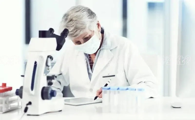 BV伟德国际官方网站