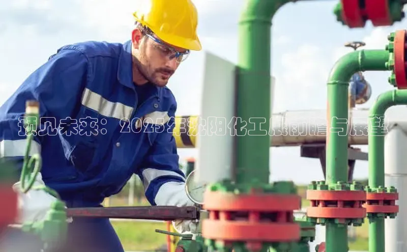 伟德betvictor1946体育