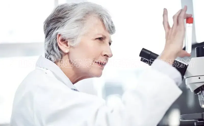 BETVlCTOR最新地址